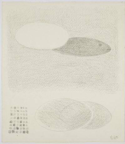 Il pesce e l’ombra (studio) / The Fish and the Shadow (study)